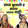 About Radha Bulati Hai Magar Jaana Nahi Song